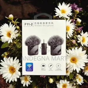 Photo - F11-2 Wireless Microphone: Small Size, Huge Impact