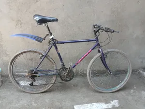 Photo - Creeper Bicycle