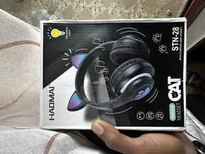 Photo - Cat Ear Wireless Headphones