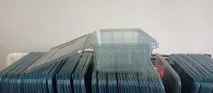 Photo - Takeaway Box Plastic Container
