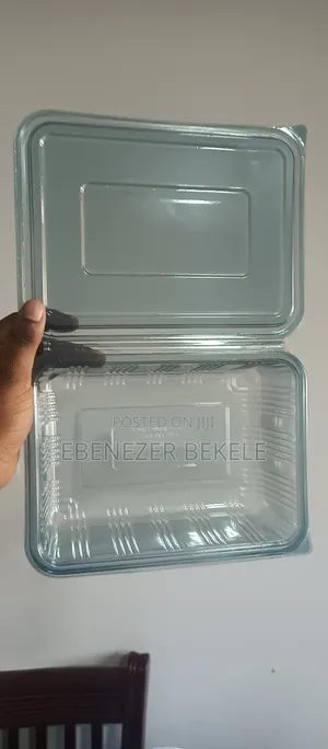 Takeaway Box Plastic Container