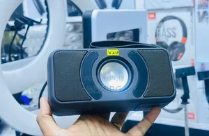 Portable Loudspeaker