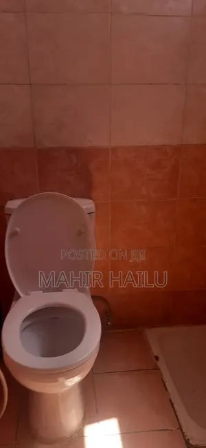 1bdrm Apartment in Real, Bole for rent