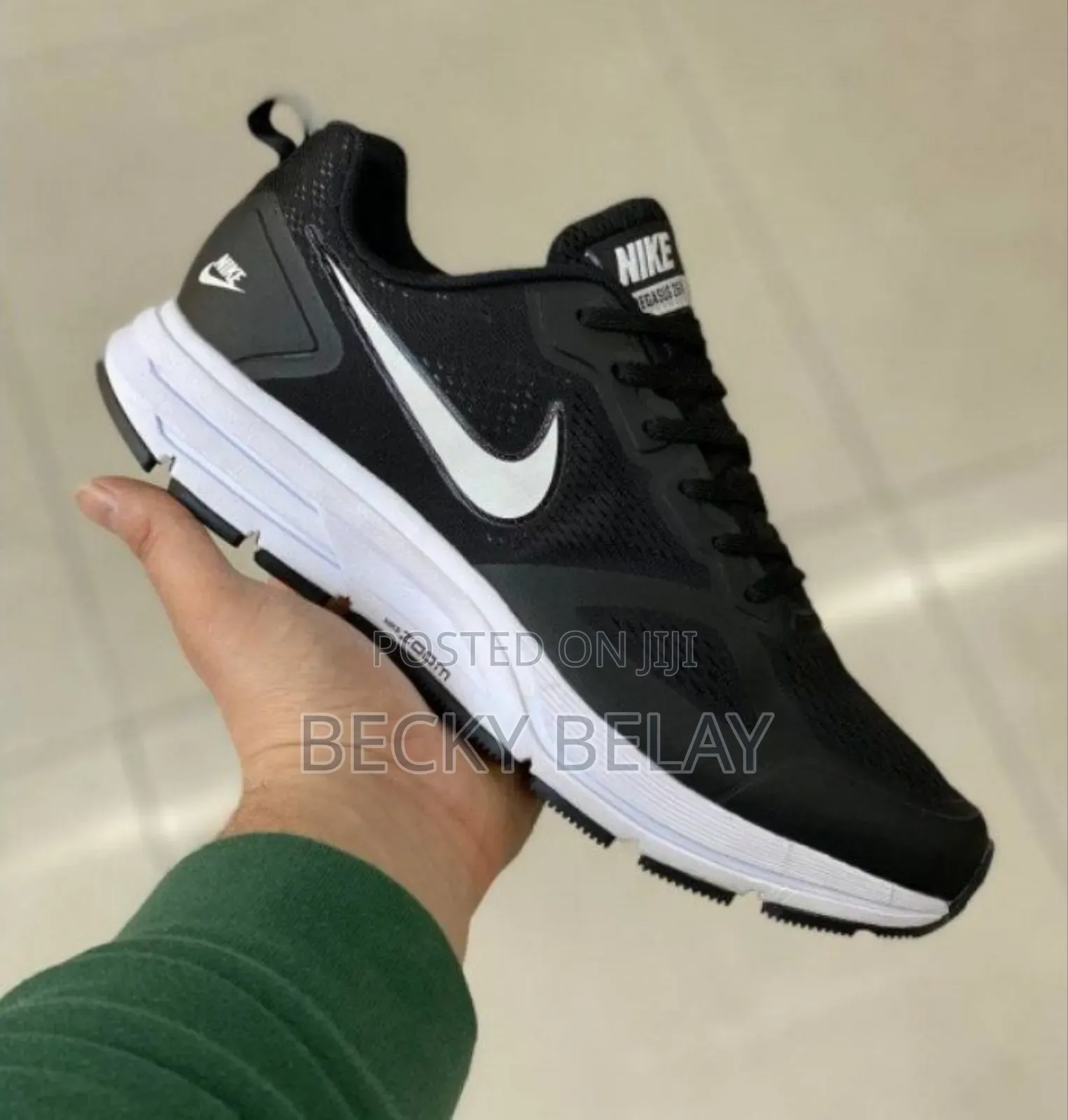 Nike Pegasus Sneaker Shoes