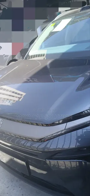 New BYD Tang DM-i 2025 Gray