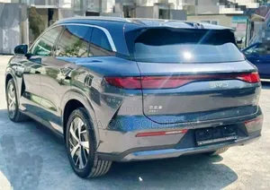 Photo - New BYD Tang DM-i 2025 Gray