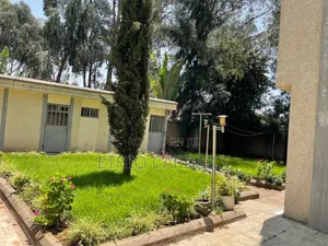 Furnished 5bdrm Duplex in Executive House, Yeka for rent
