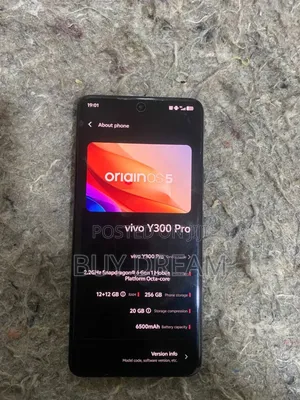 Vivo Y300 256 GB Black