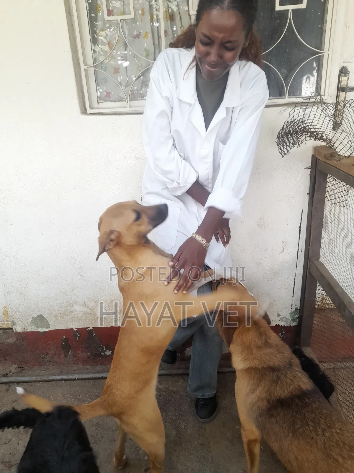 የእንስሳት ክሊኒክ