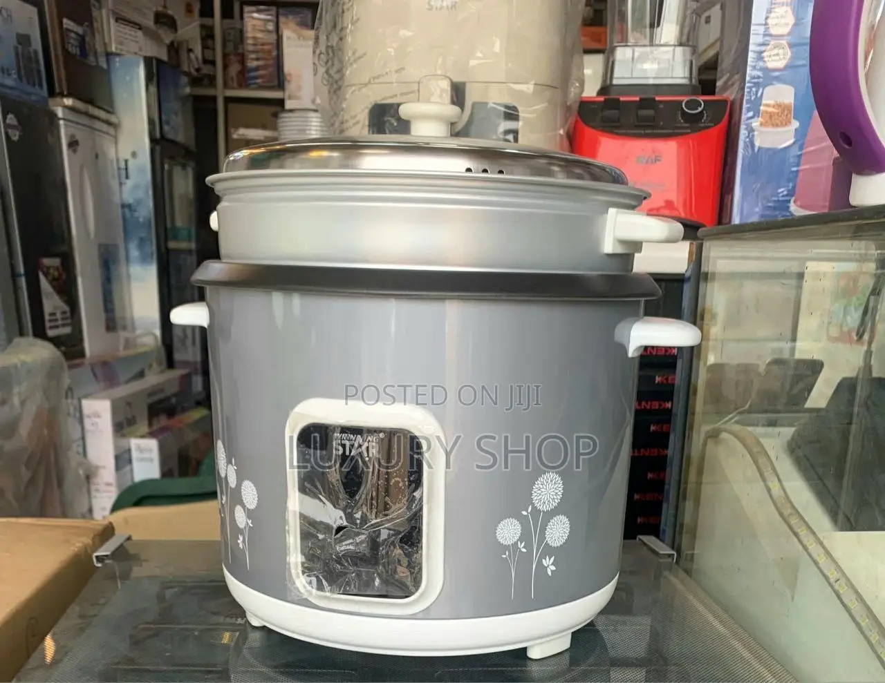 Winning Star Electric Cooker