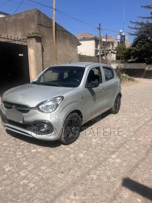 Suzuki Celerio 2022 Silver