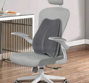 Lumbar Support Cushion Set for Office Chair, Memory Foam Backrest, So