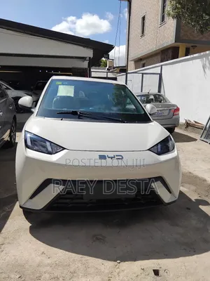 New BYD Seagull 2025 White