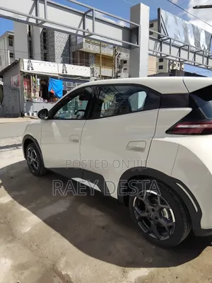 New BYD Seagull 2025 White