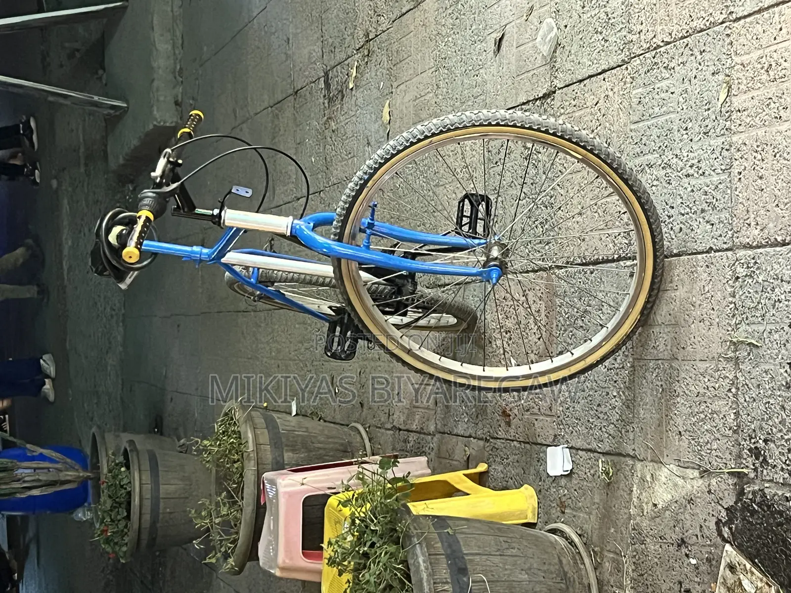 Phoenix Cycle እጅግ በጣም ምርጥ