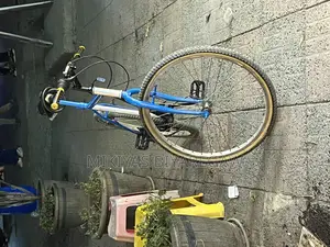 Phoenix Cycle እጅግ በጣም ምርጥ