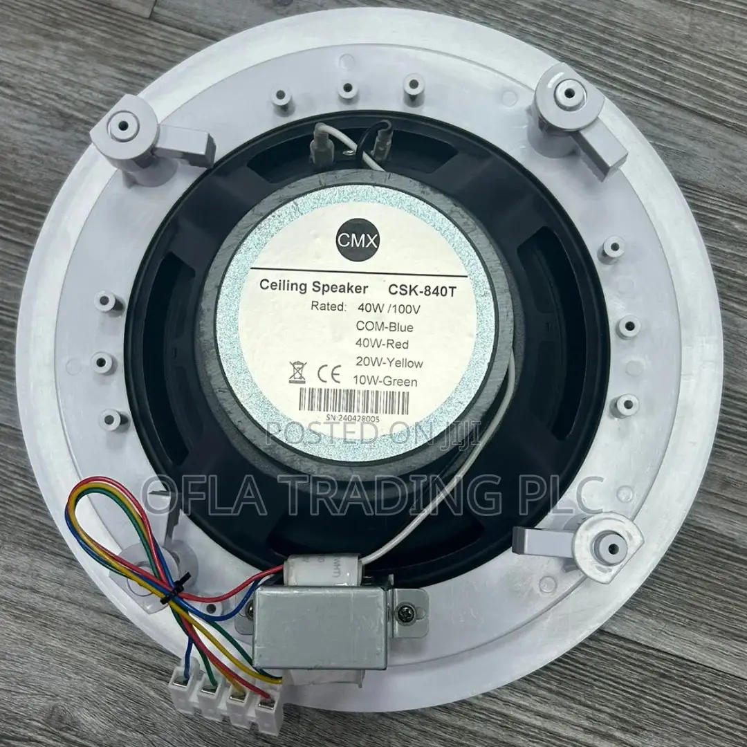 Ceiling Speaker