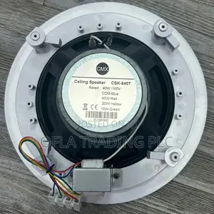 Photo - Ceiling Speaker