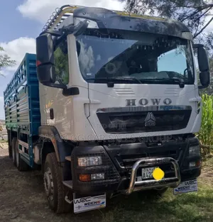 Photo - Cacion. Tx. 2025. Model