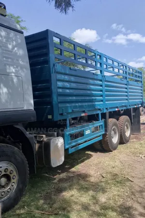 Cacion. Tx. 2025. Model