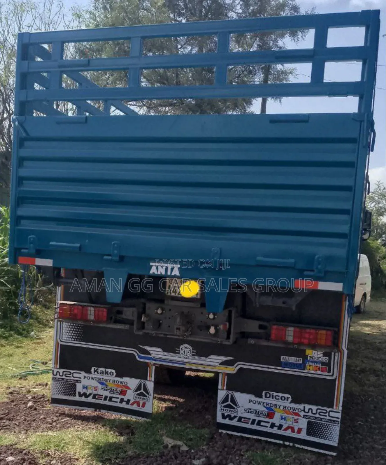 Cacion. Tx. 2025. Model