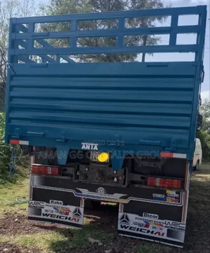 Cacion. Tx. 2025. Model