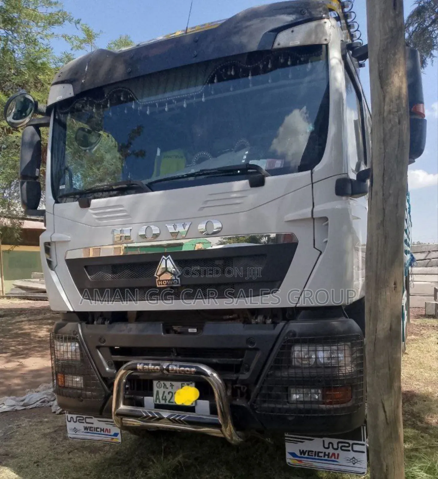 Cacion. Tx. 2025. Model