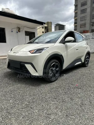 Photo - New BYD Seagull 2024 Gray