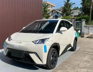 New BYD Seagull 2024 Gray