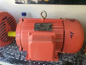 Elctircal Motor