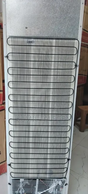 Everest Display Freezer