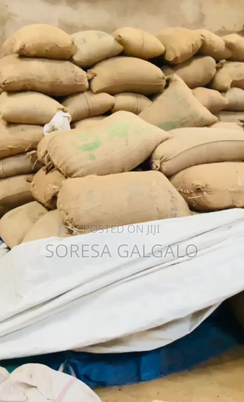 ምርጥ የጉጅ ቡና ብዛት 40kesha G2 1,300per Kg