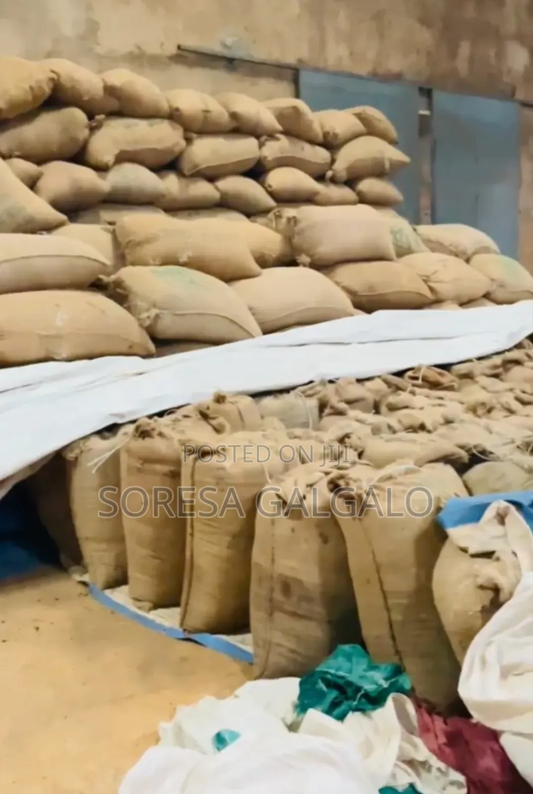 ምርጥ የጉጅ ቡና ብዛት 40kesha G2 1,300per Kg