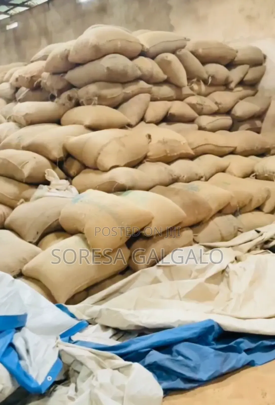 ምርጥ የጉጅ ቡና ብዛት 40kesha G2 1,300per Kg