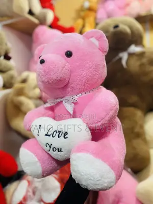 Photo - IU Teddy Bear