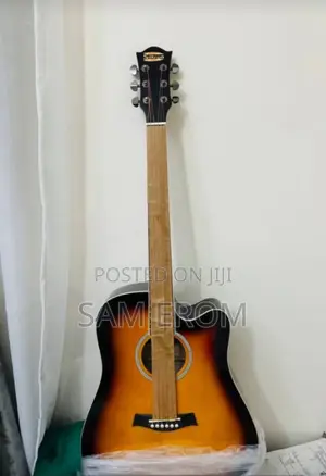 Acoustic Electric Guitar Siltron