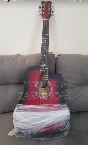 Acoustic Electric Guitar Siltron