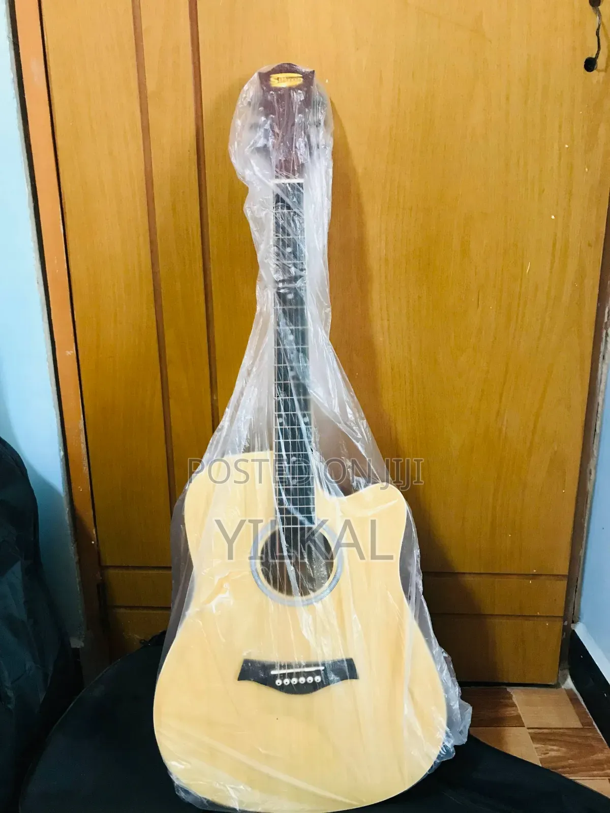 Semi Acoustic ( Electric Acoustic Guitar )