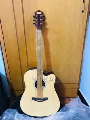 Semi Acoustic ( Electric Acoustic Guitar )