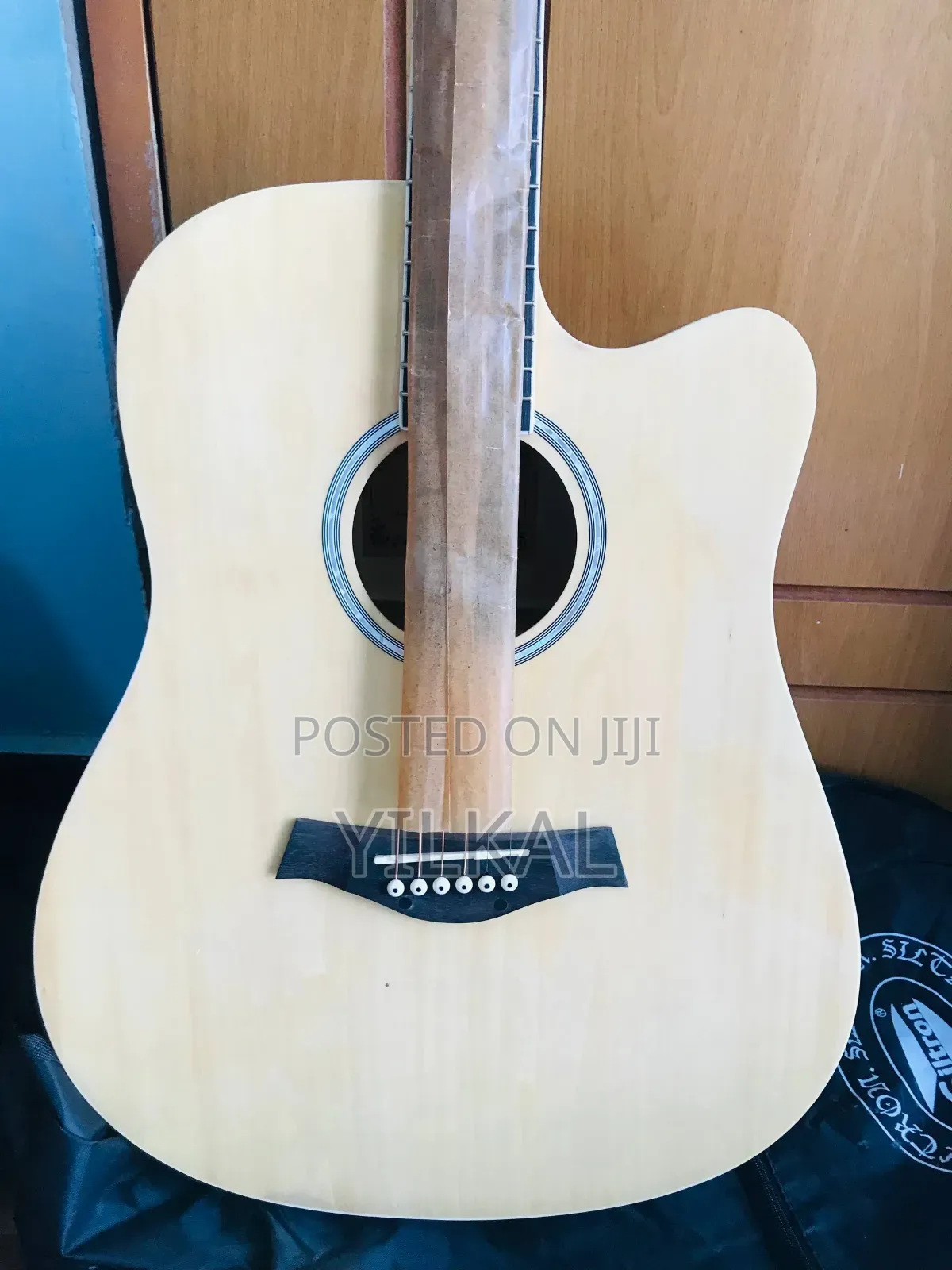 Semi Acoustic ( Electric Acoustic Guitar )