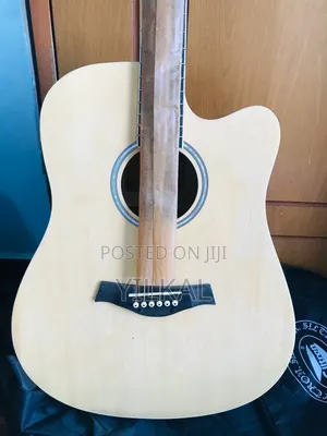 Semi Acoustic ( Electric Acoustic Guitar )