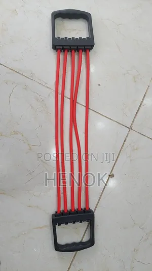 Photo - 5 Spring Chest Expander / Chest Expander