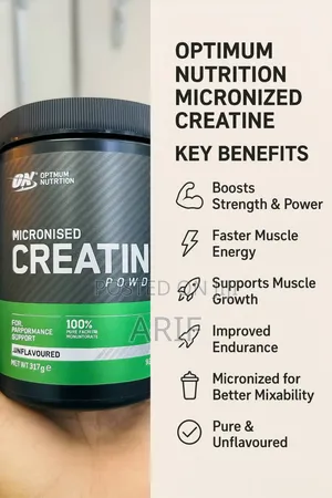 Optimum Nutrition Micronised Creatine 317gm 93 Serving 3gm Per Serving