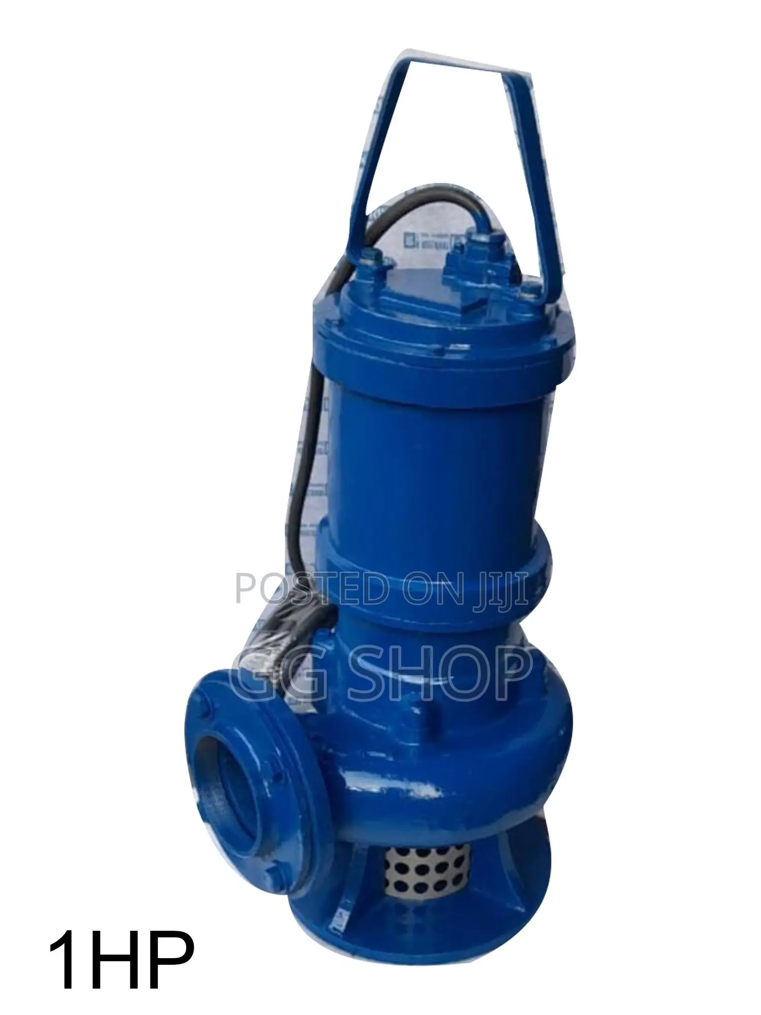 Aquas 1hp Submersible Pump
