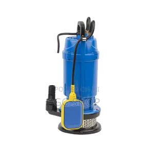 Aquas 1hp Submersible Pump