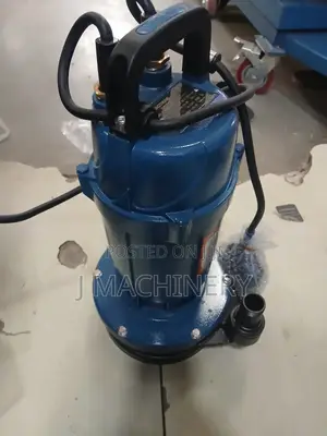 Sumersubile Water Pump Aquastrong
