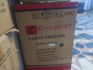 Everest 300 Model Frige