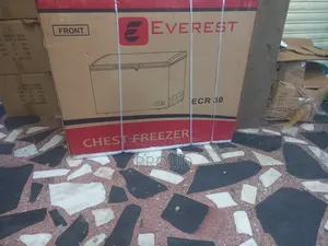 Everest 300 Model Frige