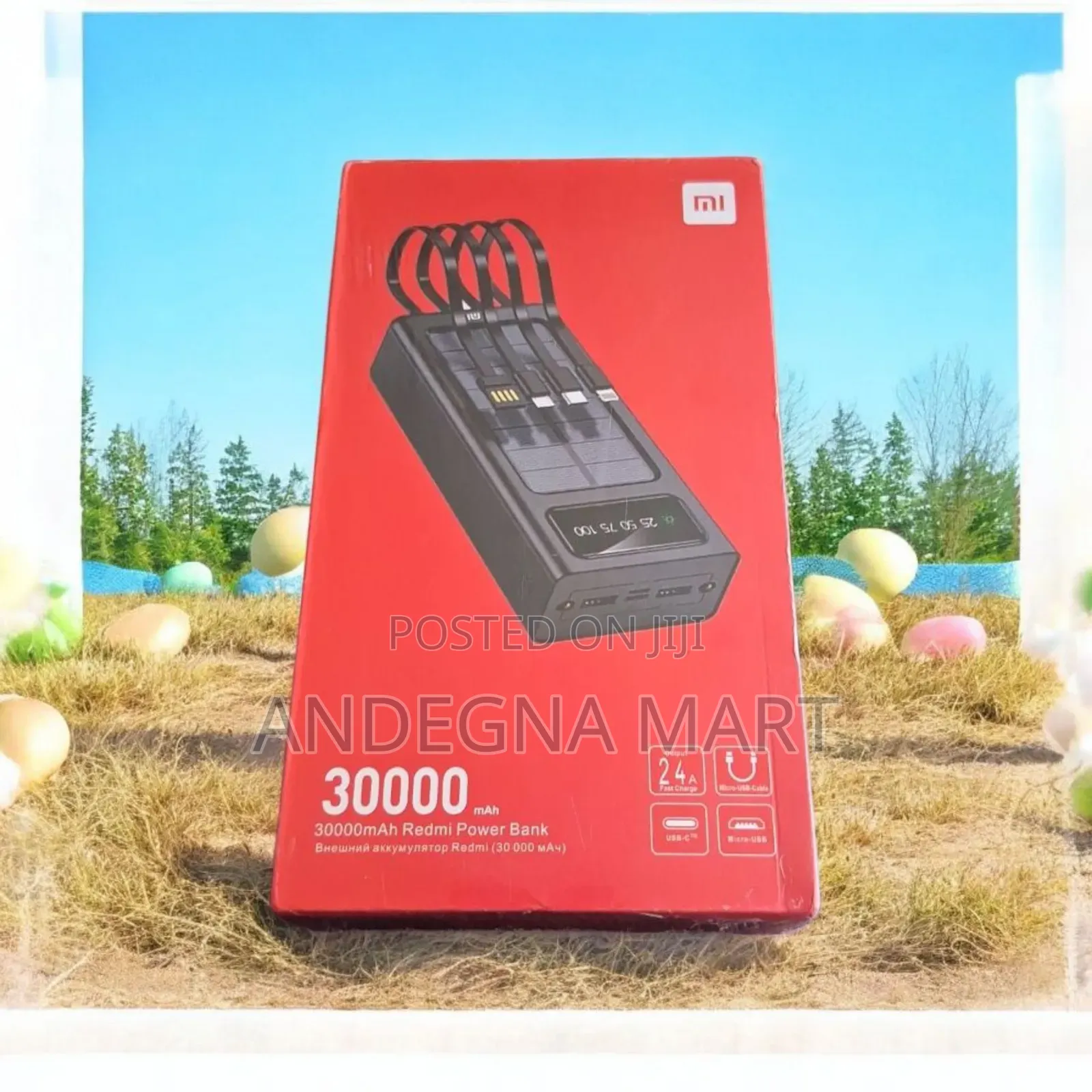 Mi 30000 Battery Solution Best Sell