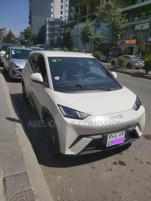 Photo - Byd Seagul 2024 for Rent